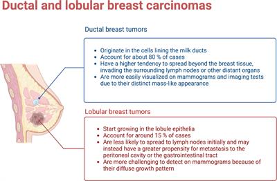 Molecular mechanisms of multi-omic regulation in breast cancer